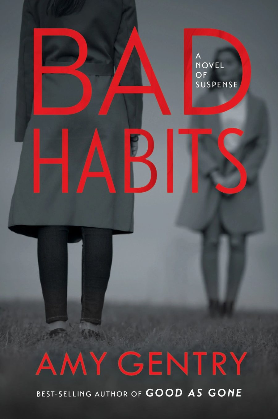 Cover of Bad Habits by Amy Gentry